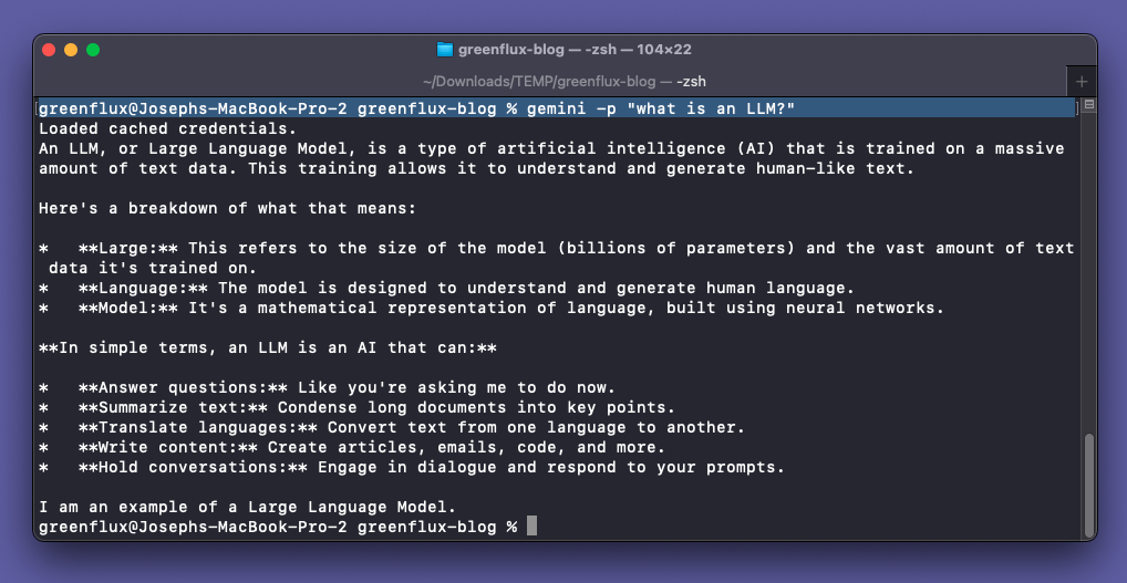 Running prompts from the terminal (non-interactive mode/headless)